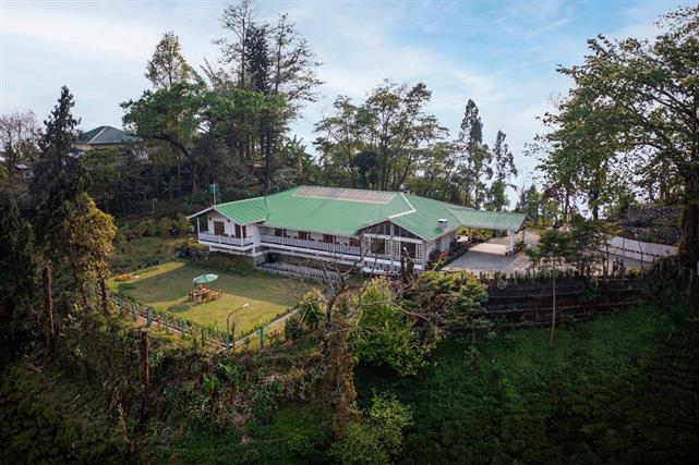 Makaibari Tea Estate